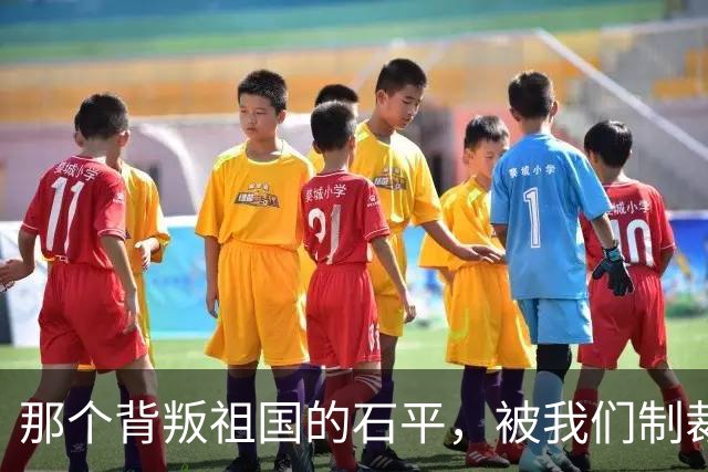 那个背叛祖国的石平，被我们制裁后，受到了什么损失吗？